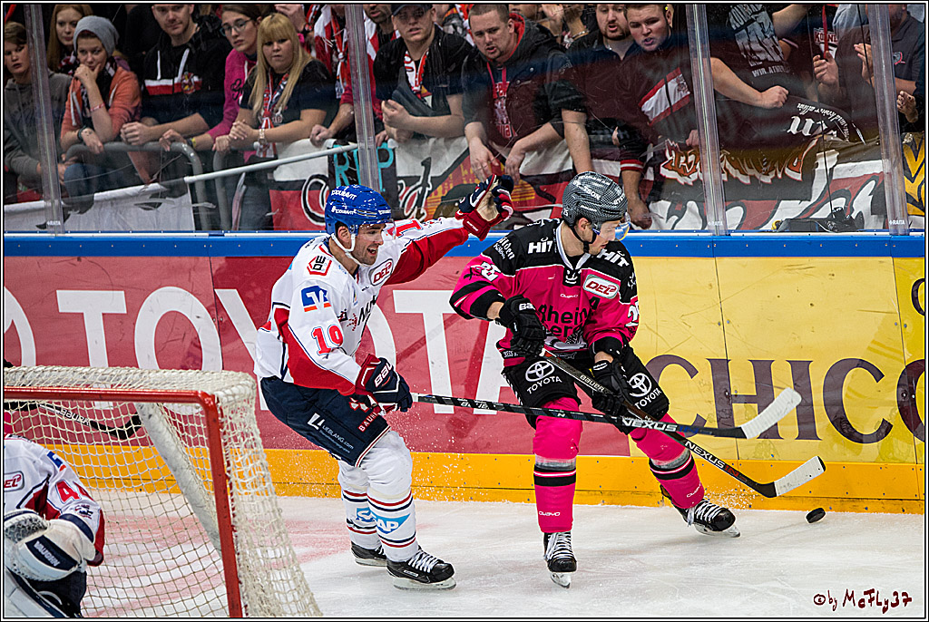 Koelner Haie - Adler Mannheim, 30.10.2016